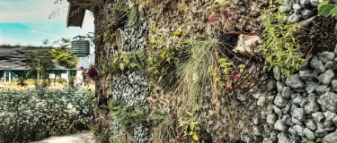 planten in het dubbellaag systeem