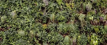 Begroeide wand op de Dutch Design Week