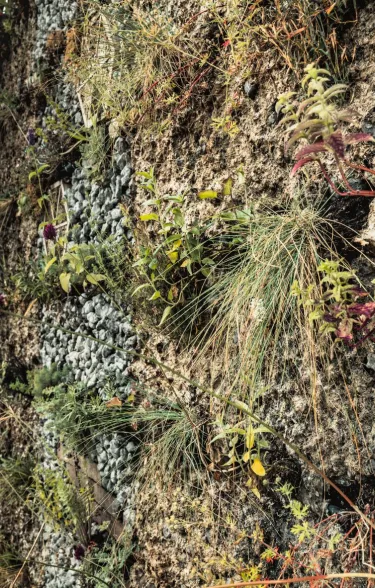 planten in het dubbellaag systeem