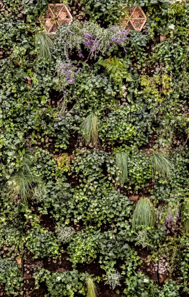 Begroeide wand op de Dutch Design Week