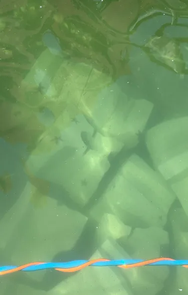 De eerste zeesterren plaatsen zicht op de Xstones