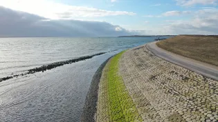 Basalton STS op de Waddenzeedijk bij Texel met groene algaanslag