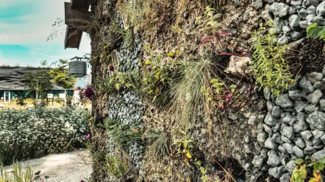 planten in het dubbellaag systeem