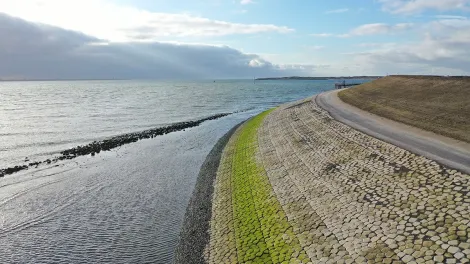 Basalton STS op de Waddenzeedijk bij Texel met groene algaanslag