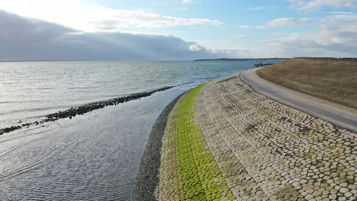 Basalton STS op de Waddenzeedijk bij Texel met groene algaanslag