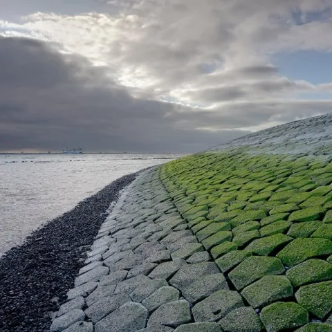 Mooie weergave van de groene basaltonzuilen op Texel met donkere lucht