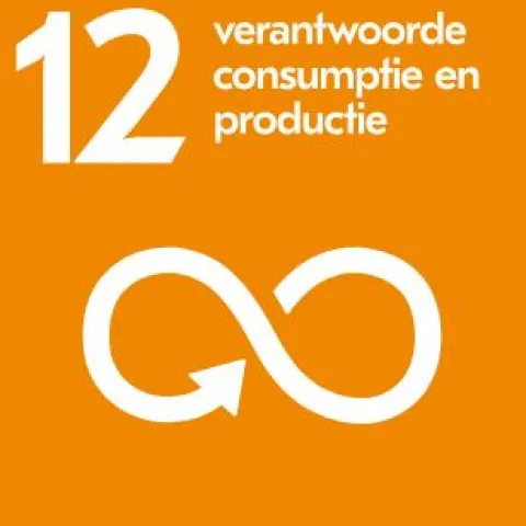 sdg 12 verantwoorde consumptie en productie