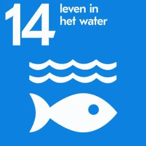 sdg 14 leven in het water